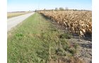 Property photo 9 - 65+/- Acres Offered in 2 Tracts